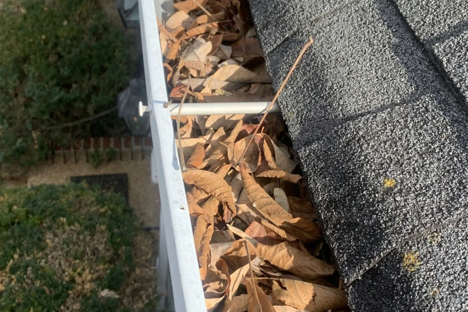 Gutter Cleaning New Iberia